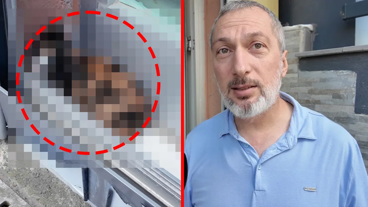 Kritik Açıklama: Yer Arnavutköy! İş yeri sahibi ofisteki gizemli sesin peşine gerileme kaydetti: Tabelayı kald