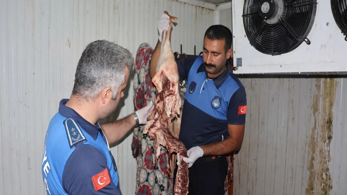 Kritik Açıklama: Şanlıurfa'da kasapta skandal görüntüler: Kilolarca bozuk et ve tarihi geçmiş ürün ele geçiril