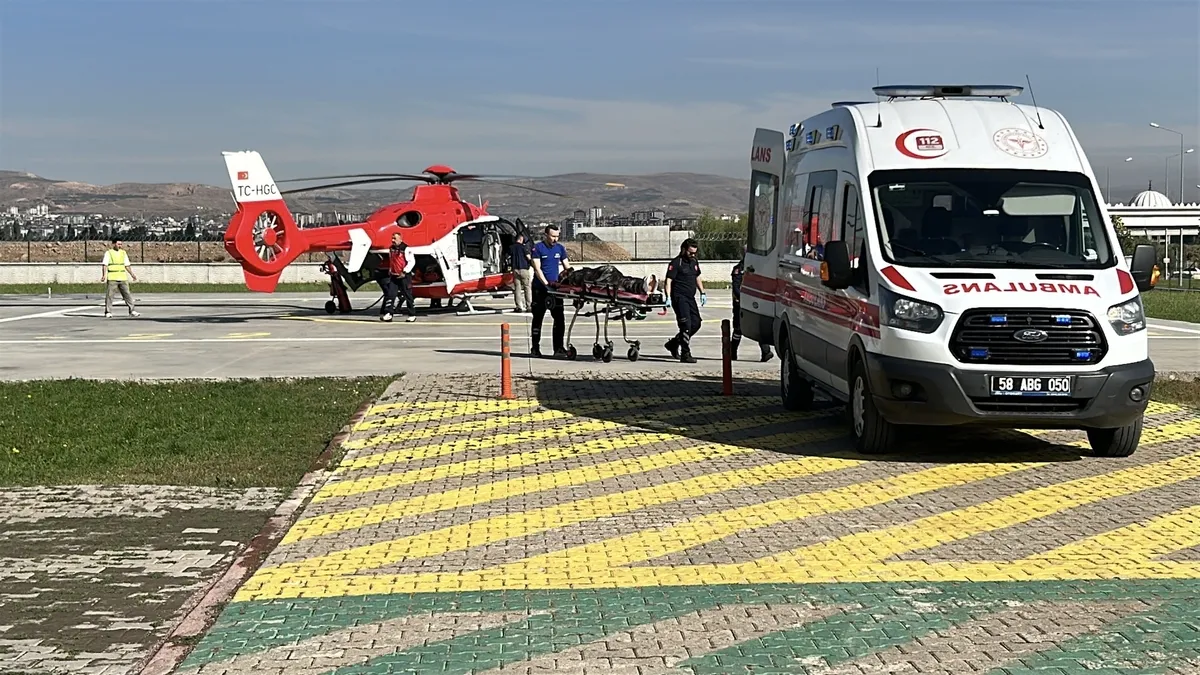 Son Gelişme: Sivas'ta korkutan olay: Çobana ayı saldırdı! - Son Dakika Bilgileri