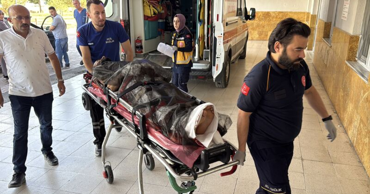 Ayrıntılar Netleşti: Çobanı ayı parçaladı