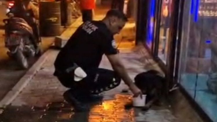 Ayrıntılar Netleşti: Sokak köpeğini av tüfeğiyle vuran şüpheli yakalanarak gözaltına sevk edildi - Son Dakika