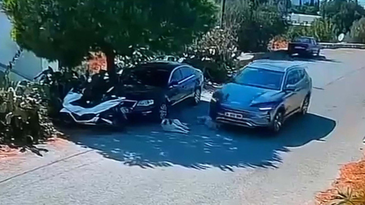 Son Gelişme: Köpeklerin üzerinden otomobille geçip kaçmıştı: Şüphelinin yeri belirlendi ve Merak Edilenler