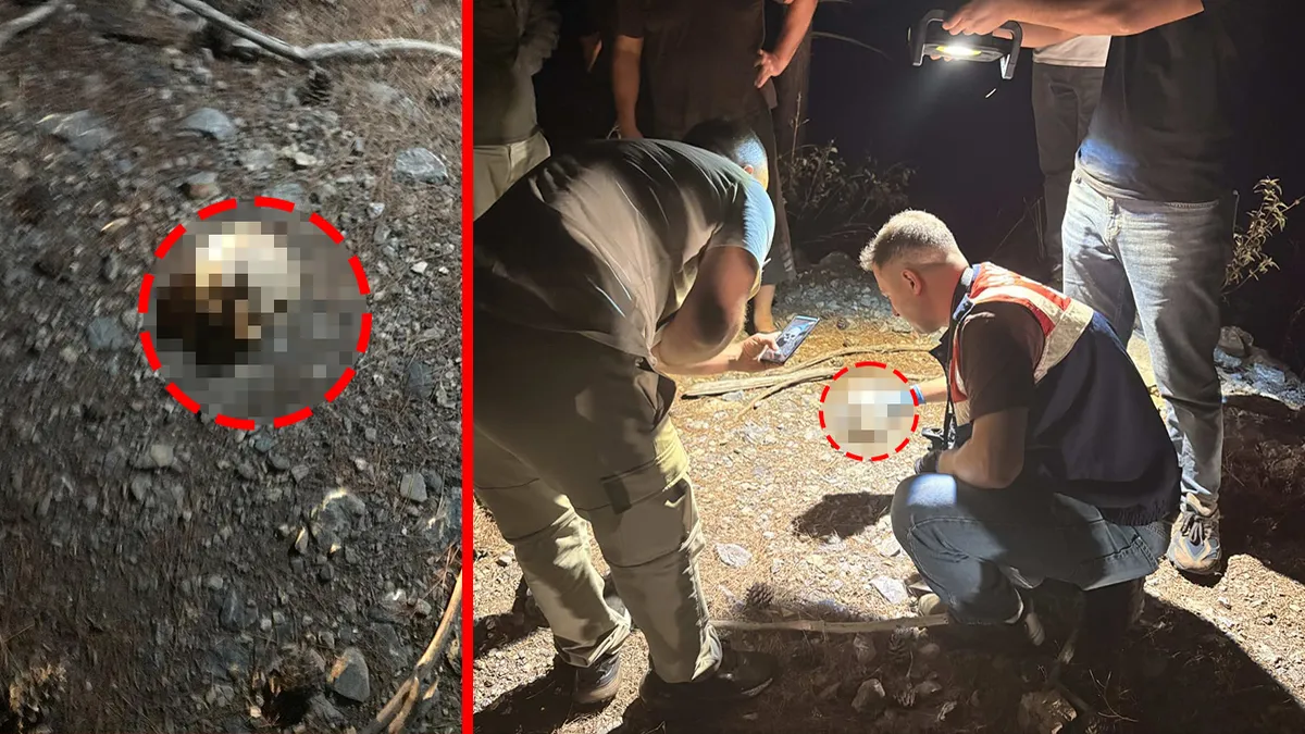 Yer Antalya! Hayvanlarını otlatan çoban ormanlık alanda buldu: Ekipler harekete geçti! | İşte Tüm Ayrıntılar