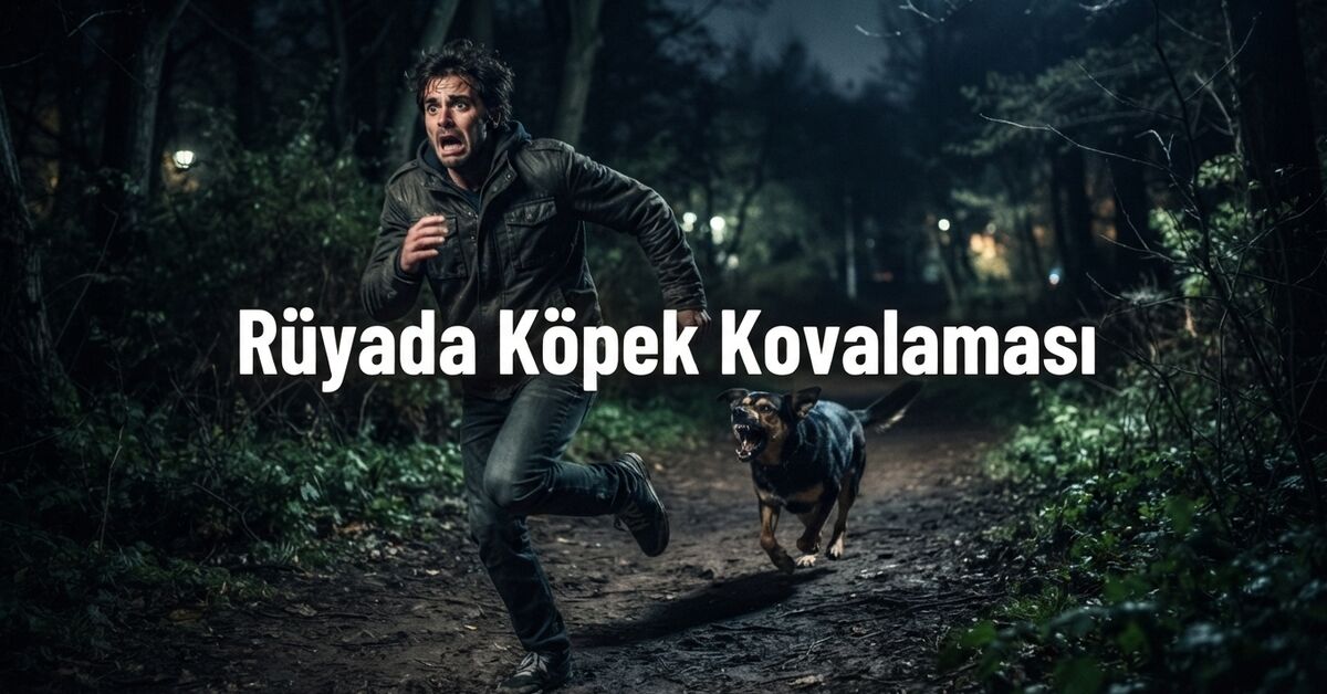 Kritik Açıklama: Rüyada köpek kovalaması ne anlama gelir?