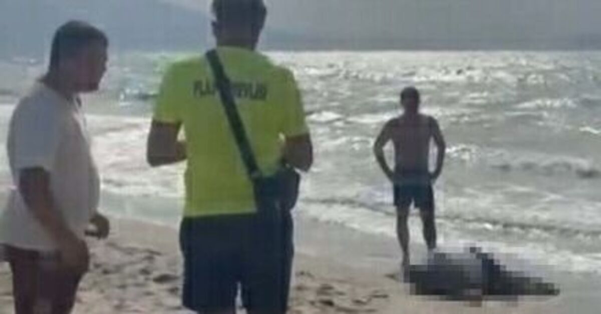 Yattan düşen iş insanının cesedi sahilde vurdu: Gelişmeler Takip Ediliyor