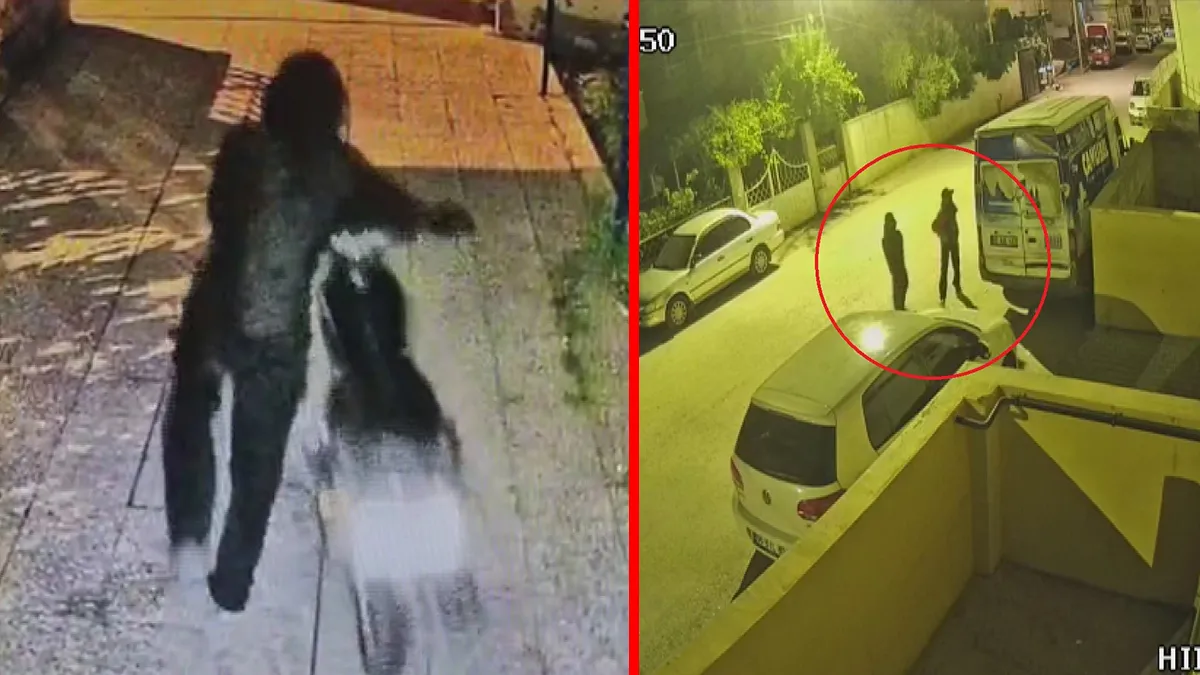Kritik Açıklama: Yer Hatay! Maskeli hırsızlar 4 ayda 2 kere aynı kabusu yaşattı: ‘Ekmek teknemi defalarca çald