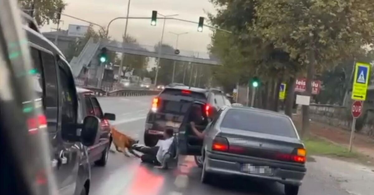 Ayrıntılar Netleşti: Köpek, yürüyen adama saldırdı