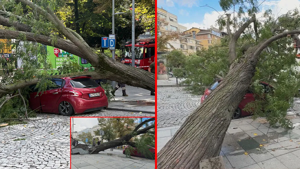 Son Gelişme: Şişli’de yürekler ağza geldi! Otomobilin üzerine ağaç devrildi: Trafik kilitlendi! ve Merak Edile