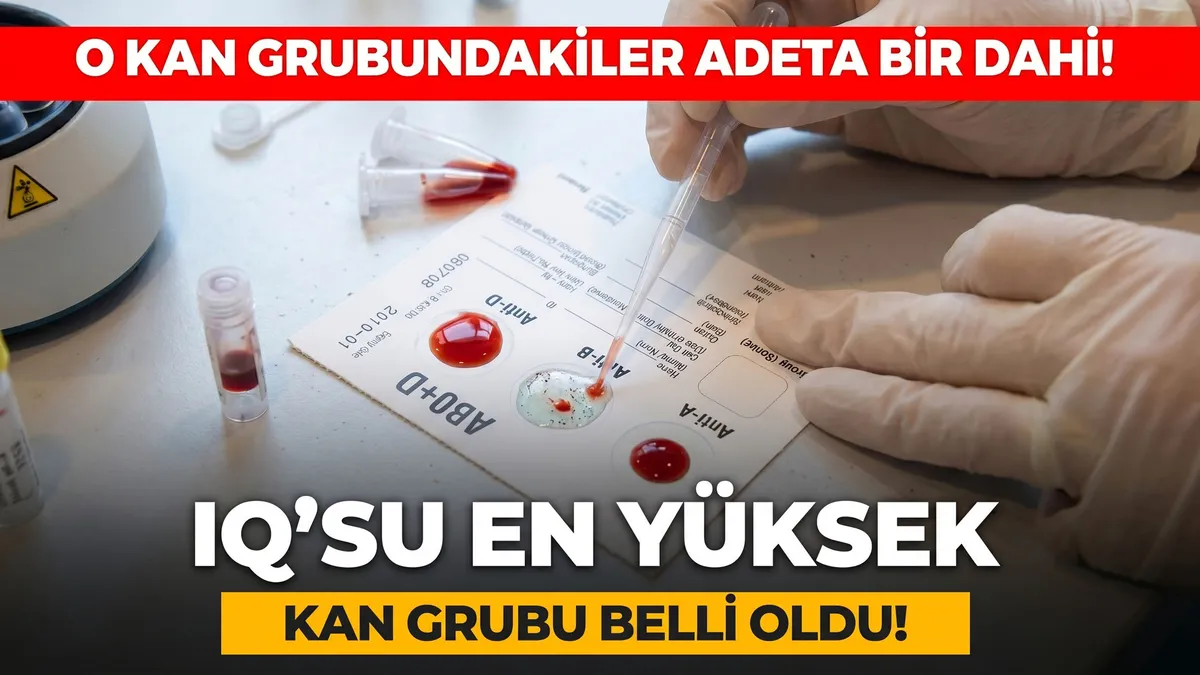 En zekiler o kan grubundanmış! Japon bilim insanlarından "ıq'su en yüksek kan grubu" teorisi! - Son Dakika Bil