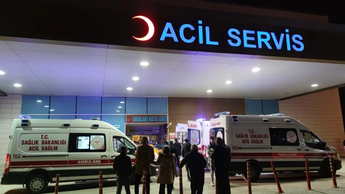 Sıcak Gündem: Ceviz toplarken ağaçtan gerileme kaydetti! 61 yaşındaki adam yaşamını yitirdi