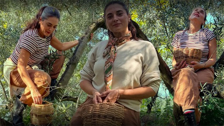 Son Gelişme: Aslıhan Gürbüz bahçeye girdi... “Bu yıl zeytin yüzümü güldürdü” - Son Dakika Bilgileri