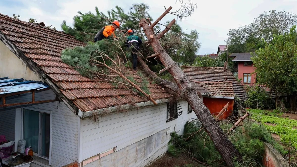 Ayrıntılar Netleşti: Beykoz’da bin 879 talebin tamamına ulaşıldı