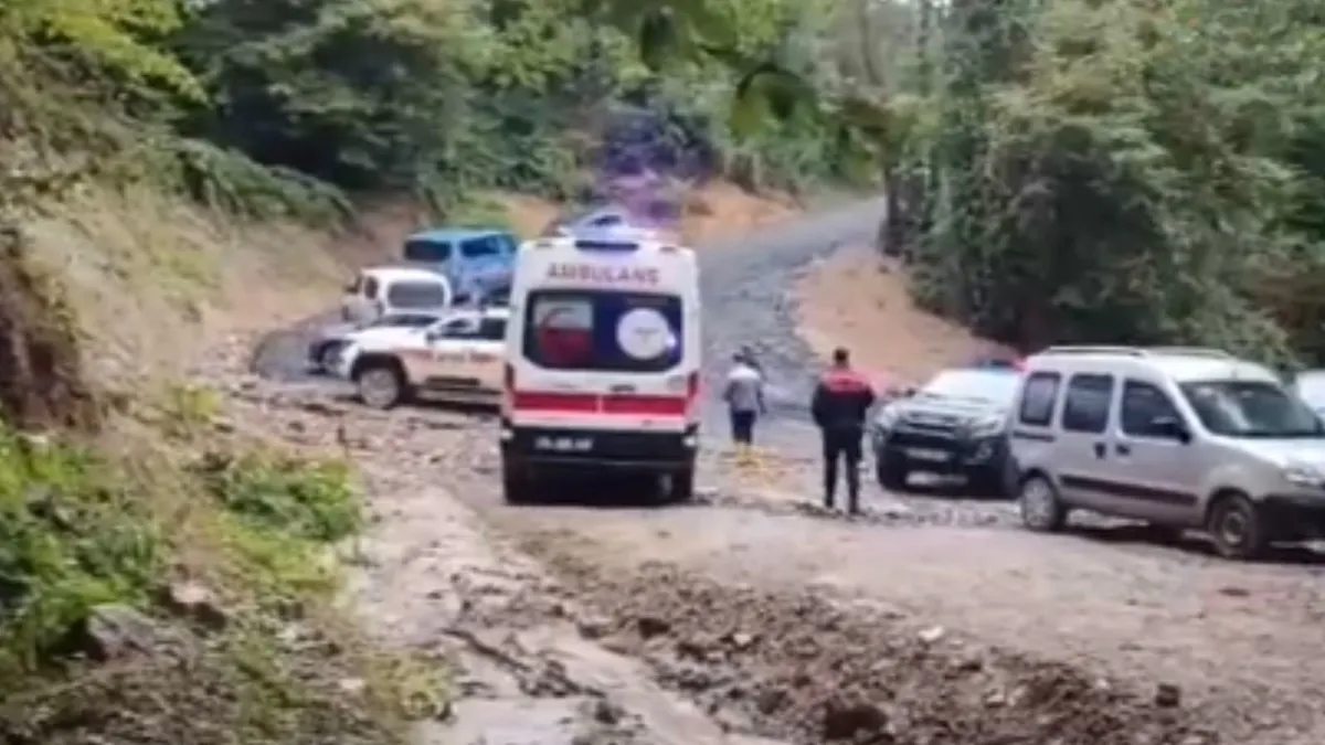 Ormanda acı son! Kestane toplamak için ormana gitti, kardeşleri cansız bedenini buldu - Son Dakika Bilgileri