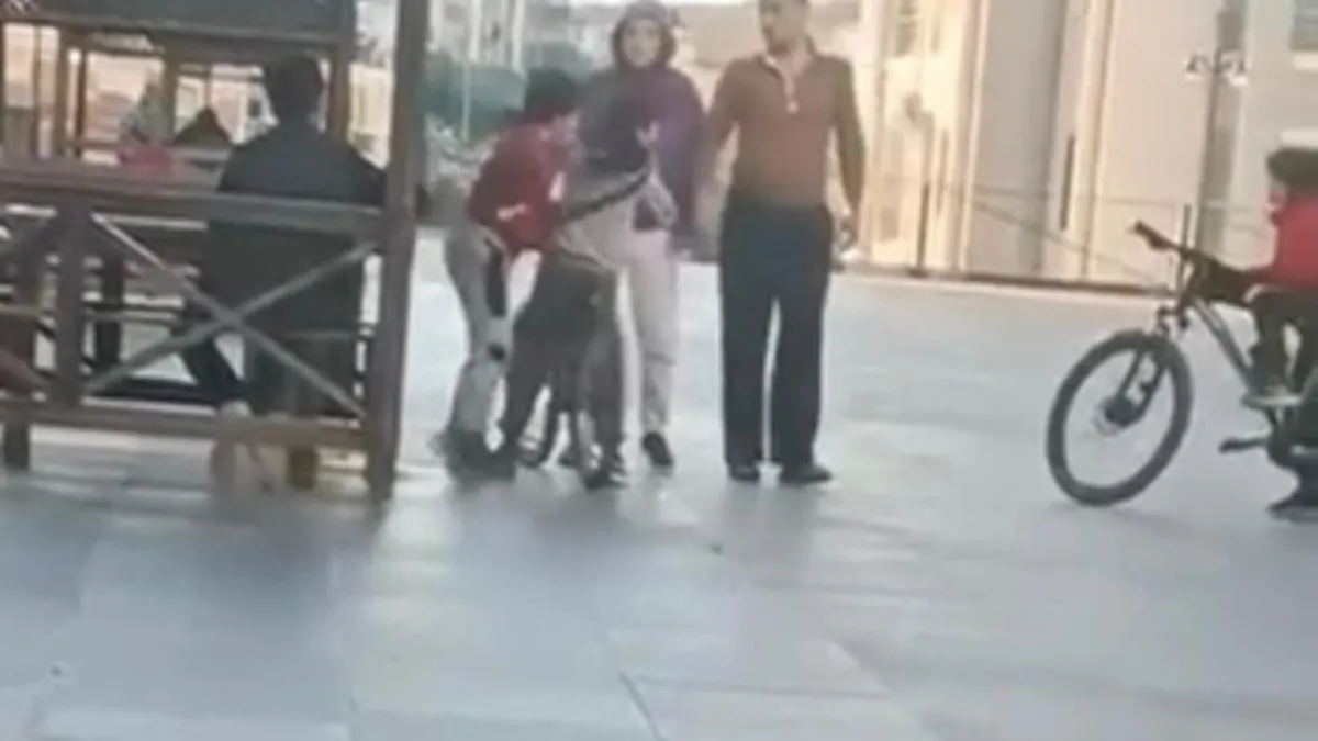 Son Gelişme: Ankara'da akran kavgasına ağabey ve ablası da dahil oldu : O anlar kamerada!: Gelişmeler Takip Ed