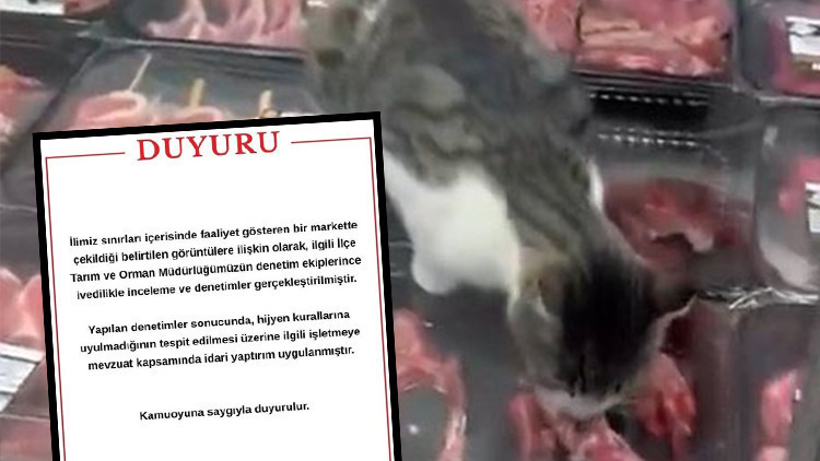 Ayrıntılar Netleşti: Zincir marketteki görüntü sonrası harekete geçildi: Ürünlere el konuldu, para cezası kesi