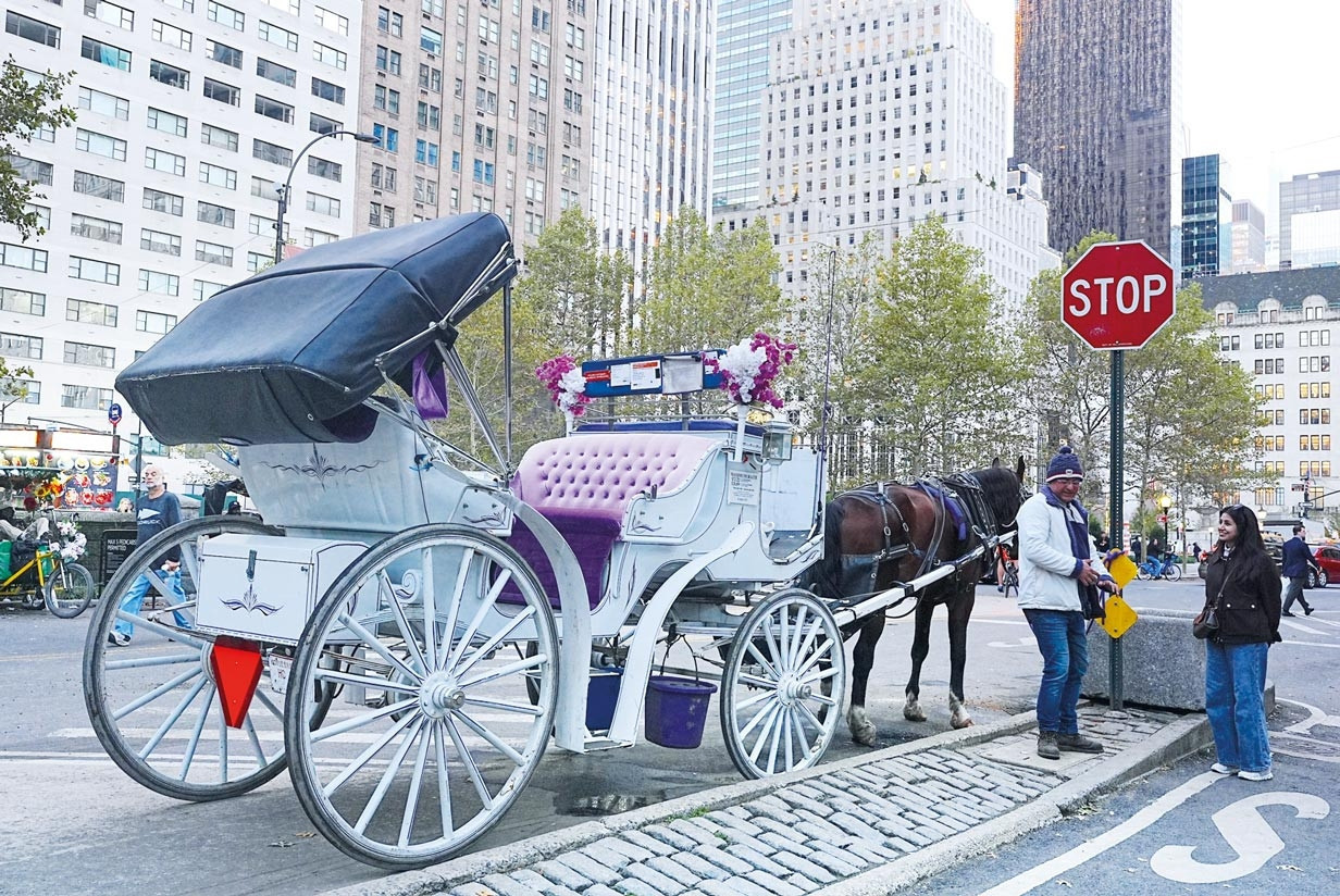 New York’ta faytona yasak ve Merak Edilenler