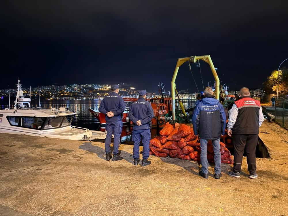 Kritik Açıklama: Bursa'da 350 kilo kaçak midye ele geçirildi - Son Dakika Bilgileri