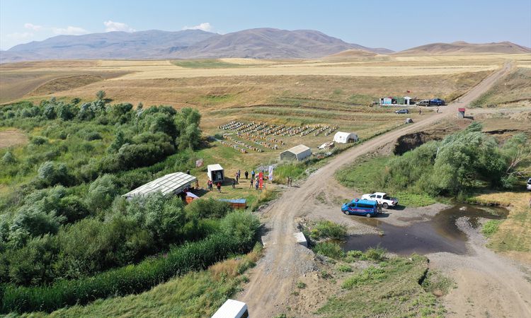 Kritik Açıklama: Ağrı'da Coğrafi İşaretli Geven Balında 357 Ton Rekolte Beklentisi - Son Dakika Haberleri ve M
