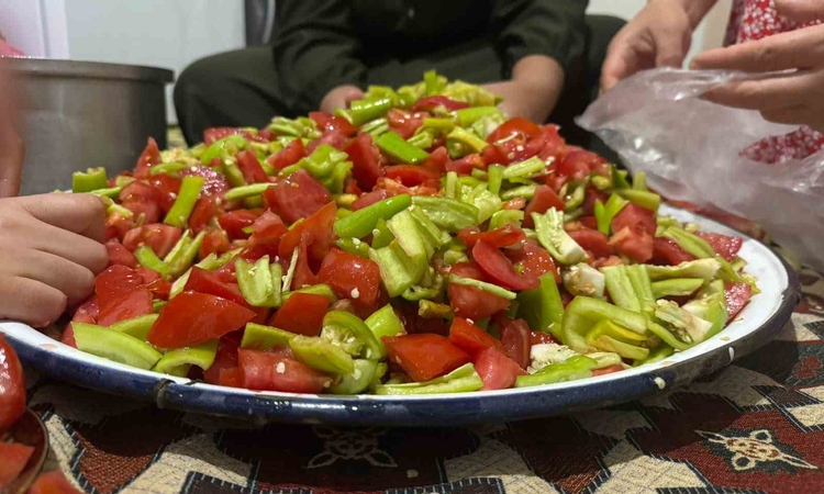 Ağrı Patnos'ta vatandaşlar yaz sebzelerini kışa dondurucu ve konserveyle hazırlıyor