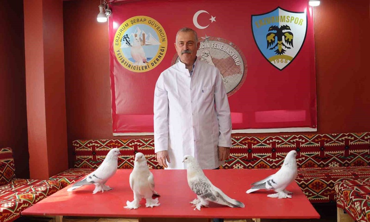 Ahmet Özkalıpçı, 40'a yakın Şebap güvercini için Erzurum'da ev tuttu