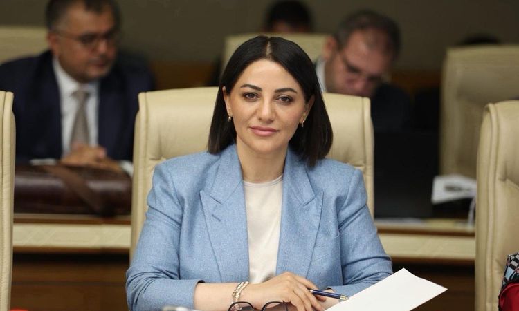 AK Parti Istanbul MP Şengül Karslı issues statement on 'Child Protection Law'.