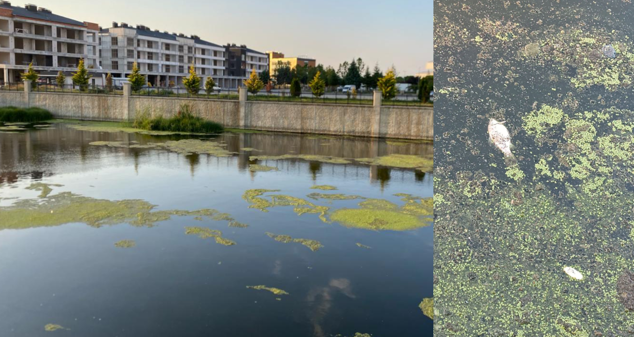 Akarçay raises an alarm: The "cleanliness" discourse of the AKP municipality is not reflected in the images - Latest News