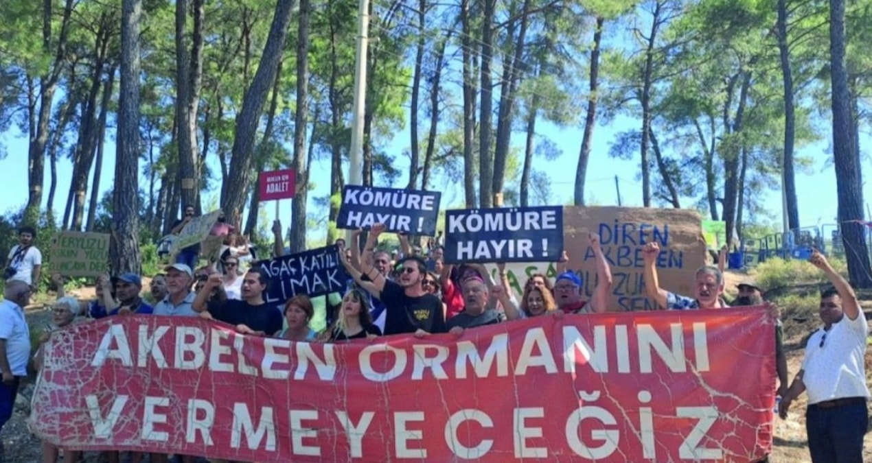 Kritik Açıklama: Akbelen’i katletmeye savaş yetkisi formülü - Son Dakika Haberleri | İşte Tüm Ayrıntılar
