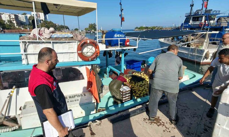 Kritik Açıklama: Akçakoca’da balıkçılar sezona hızlı resmen start aldı - Son Dakika Haberleri | İşte Tüm Ayrın