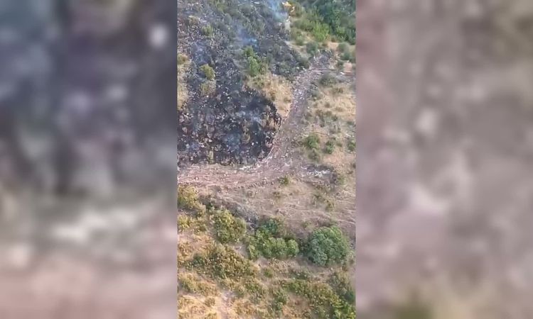 Son Gelişme: Akhisar'da Orman Yangını Kontrol Altına Alındı - Son Dakika - Son Dakika Bilgileri