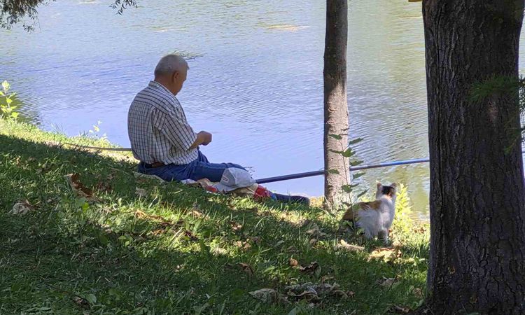 Son Gelişme: Akıllı sokak kedisi balık tutan adamın başından ayrılmadı - Son Dakika | İşte Tüm Ayrıntılar