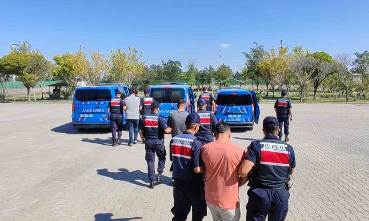 Gündemden Son Bilgiler: Aksaray'da Köpek Dövüştürme Görüntüleri Sosyal Medyada Tepki Çekti: 3 Gözaltı - Son Da