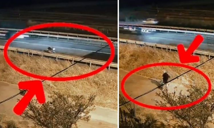 Kritik Açıklama: Aküsü bitince durağın arkasına bırakıp gitti: Haftalar sonra döndüğünde hayatının şokunu yaşa