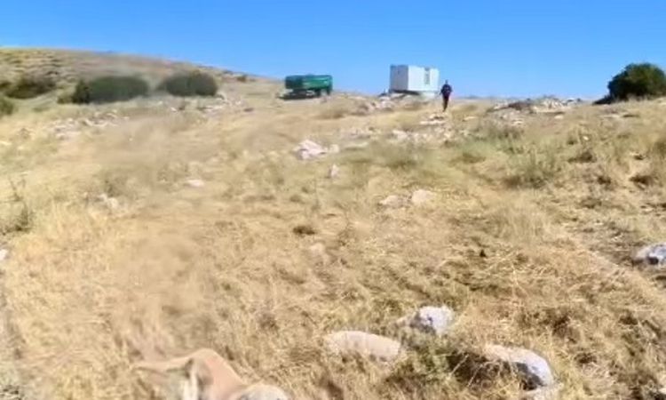 Gündemden Son Bilgiler: Aladağlar’da BASE Jump sporcusuna çoban köpekleri saldırdı - Son Dakika
