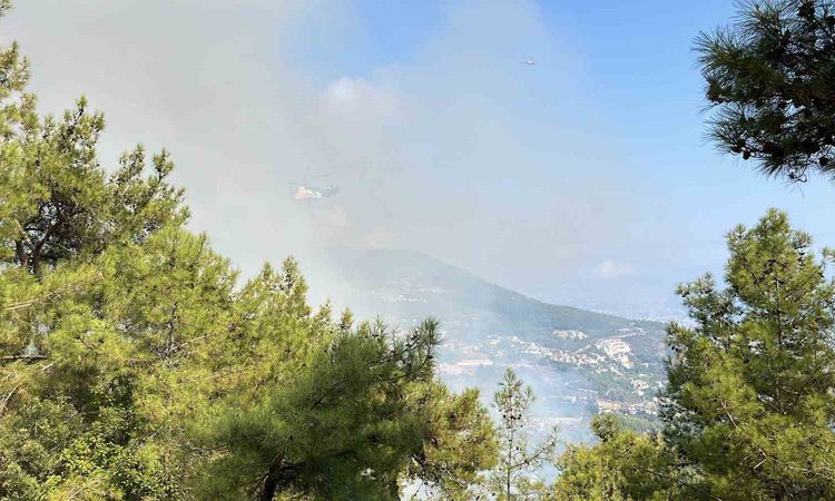 Gündemden Son Bilgiler: Alanya ve Konyaaltı'nda Eş Zamanlı Orman Yangınlarına Müdahale - Son Dakika Haberleri