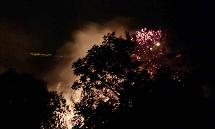Alanya'da orman alevlerı dizginlendi - Son Dakika | İşte Tüm Ayrıntılar
