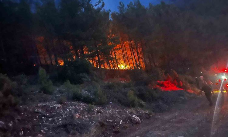 Ayrıntılar Netleşti: Alanya'da orman alevlerı dizginlendi - Son Dakika: Gelişmeler Takip Ediliyor