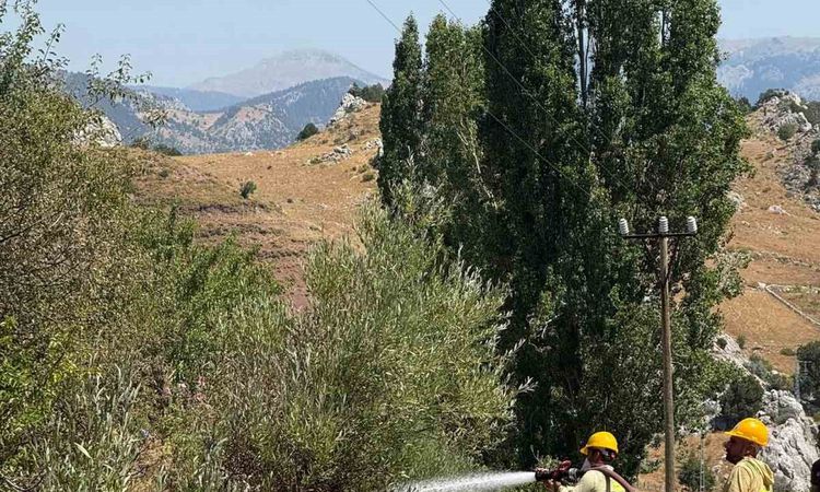 Gündemden Son Bilgiler: Alanya'da otluk alevlerı kontrol altında - Son Dakika
