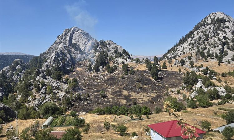 Alanya'da zirai yangın kontrol altında | İşte Tüm Ayrıntılar