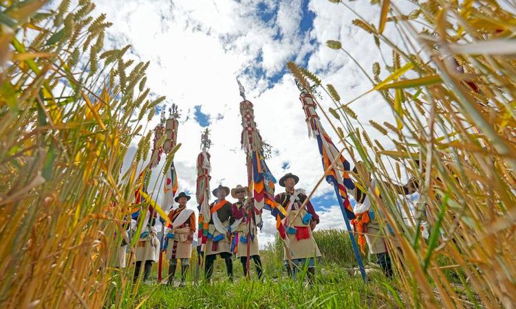 Gündemden Son Bilgiler: Albüm: Çin'in Xizang (Tibet) bölgesinde Ongkor Festivali bol hasat dilekleriyle kutlan