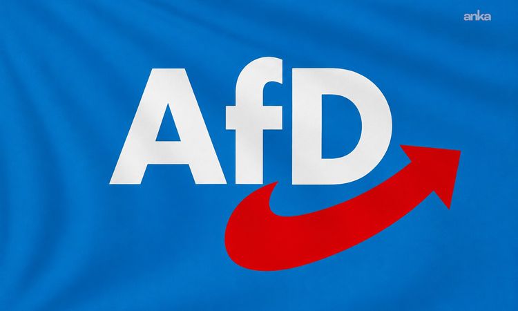 Son Gelişme: Almanya'da AfD'ye Karşı 'Gerçek Vatan Sevgisi Budur' Kampanyası - Haberleri - Son Dakika Bilgiler