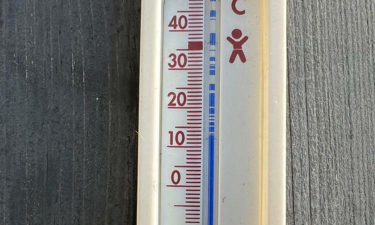 Gündemden Son Bilgiler: Almanya'da bu yıl sıcaklığa bağlı ölümlerin 9 bin 800'e ulaştığı tahmin ediliyor - Hab