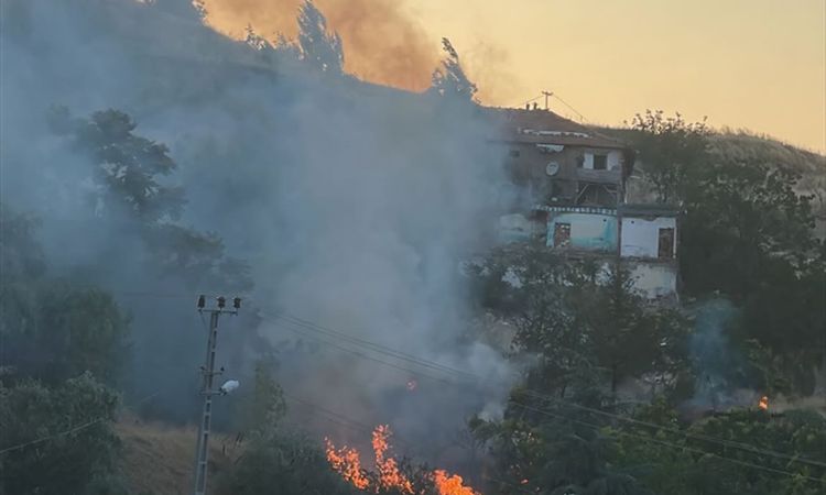 Son Gelişme: Ankara'da otluk alanda çıkan alevler dizginlendi - Son Dakika Haberleri ve Merak Edilenler