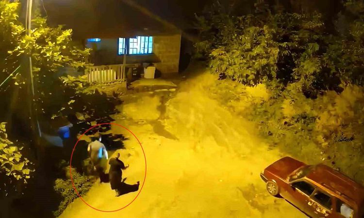 Son Gelişme: Anne ve Oğlu Ayı Sesinden Kaçtı - Son Dakika