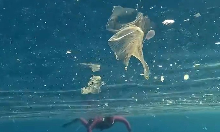 Antalya Kaş'ta Halk Plajı'nda yüzenlerin çevresindeki plastik atıklar dikkat çekti ve Merak Edilenler