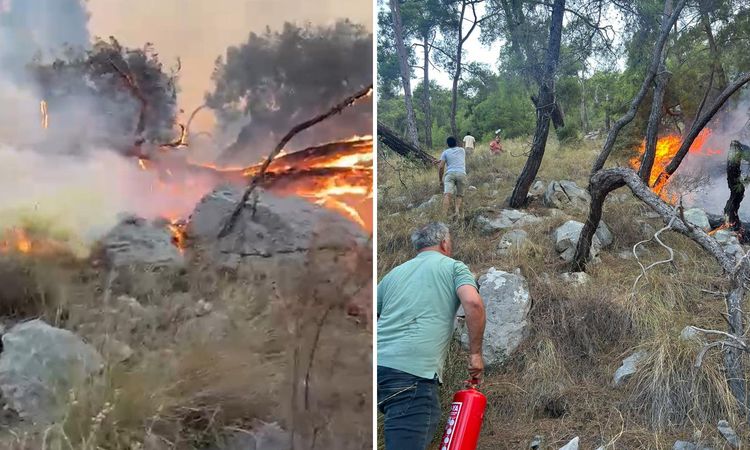 Ayrıntılar Netleşti: Antalya'da  orman alevlerı müdahalesinde gönüllüler de devrede: Yangın tüpleri eşekle taş