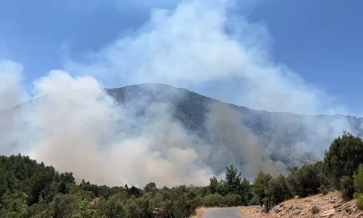 Antalya'da Orman Yangını 18 Saatte Kontrol Altına Alındı - Son Dakika: Gelişmeler Takip Ediliyor