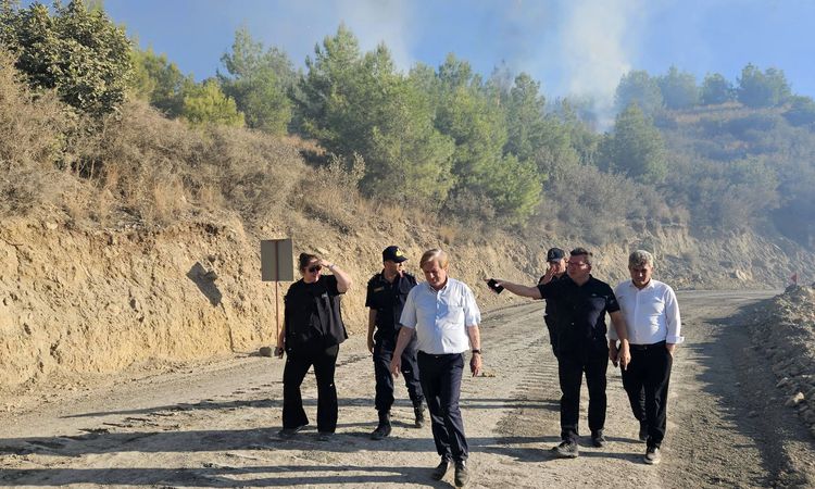 Antalya Serik'teki yangın kontrol altına alındı; 6 ev yandı: Gelişmeler Takip Ediliyor
