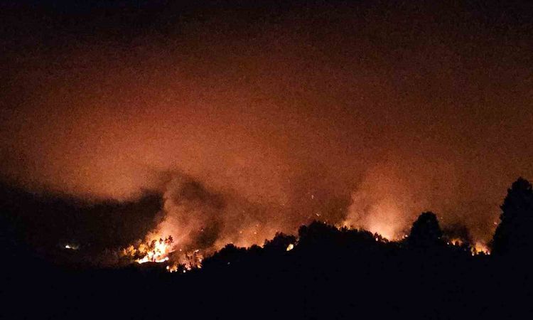 Antalya Serik’teki yangının enerjisi düşürüldü