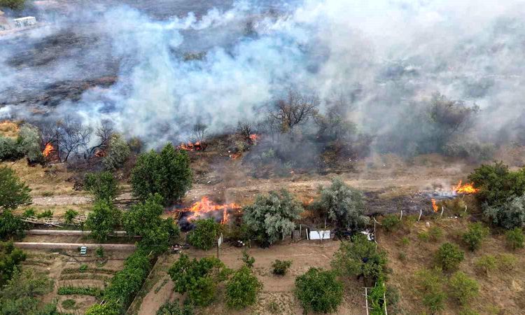 The flames that broke out in the field were extinguished before they spread to the houses - Last Minute