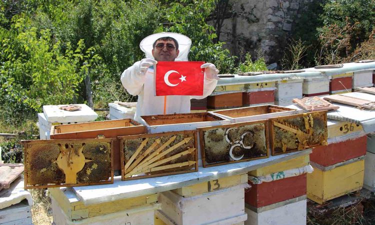 Son Gelişme: Arı kovanında sembolik seçim: Petek çıtalarında parti amblemi yarışı - Son Dakika ve Merak Edilen